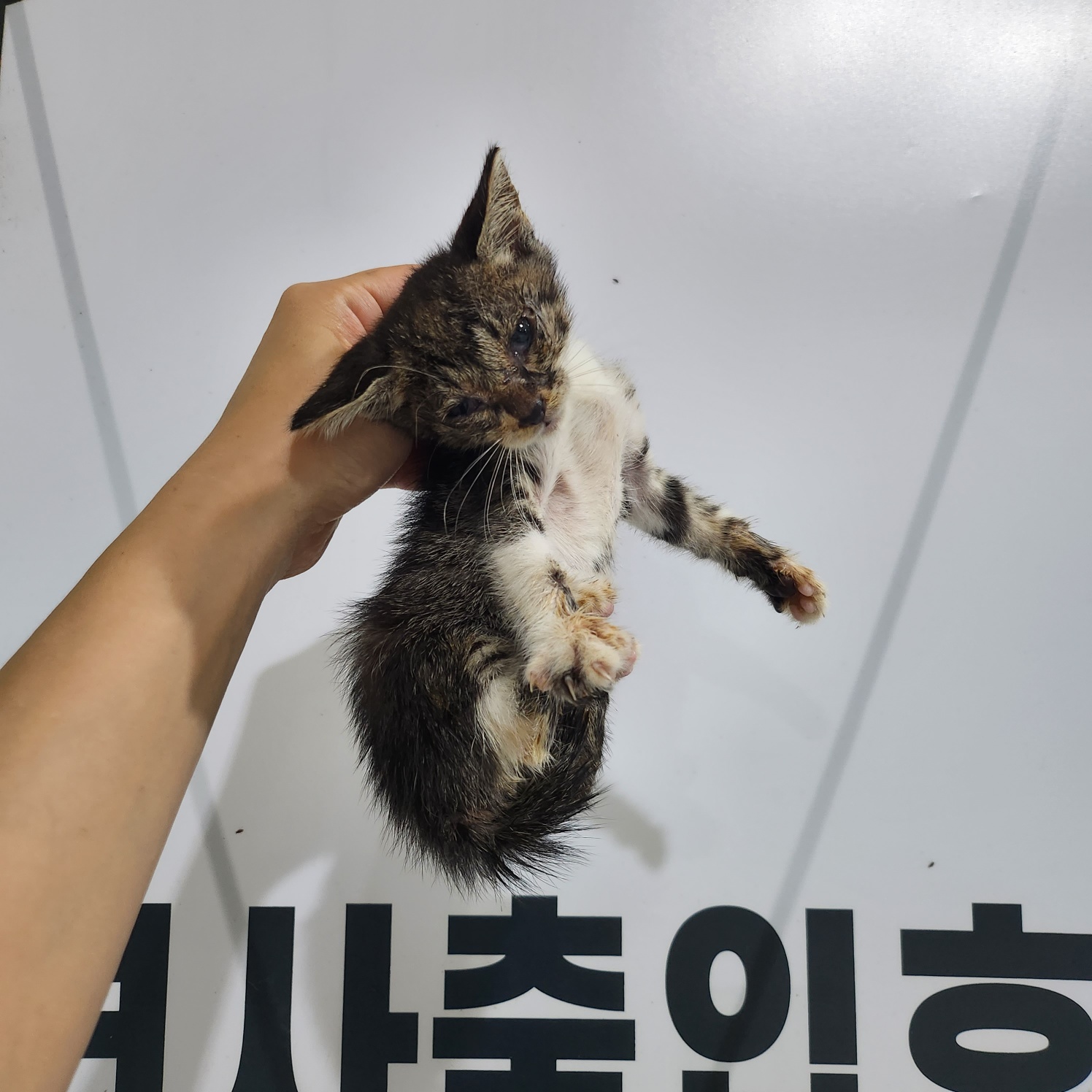 부산동물보호센터_426326202300507