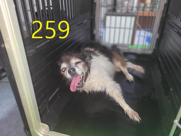 신영재동물병원_428355202300426
