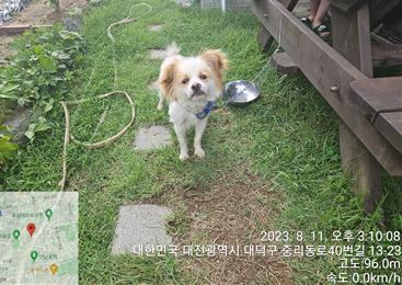 대전동물보호센터_430368202300391