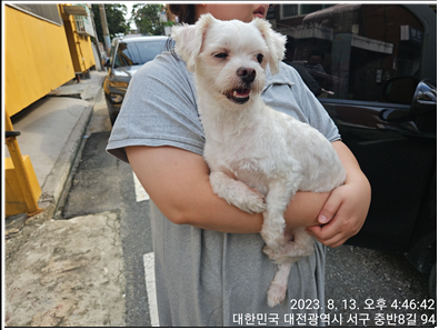 대전동물보호센터_430366202300489