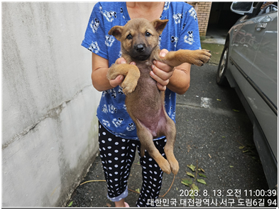대전동물보호센터_430366202300487