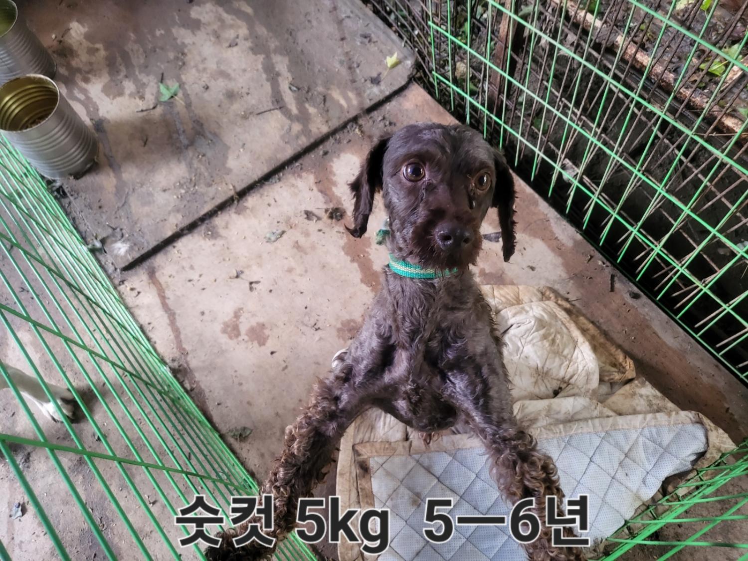 완주군유기동물보호소_445472202300313