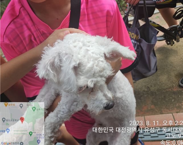 대전동물보호센터_430367202300482