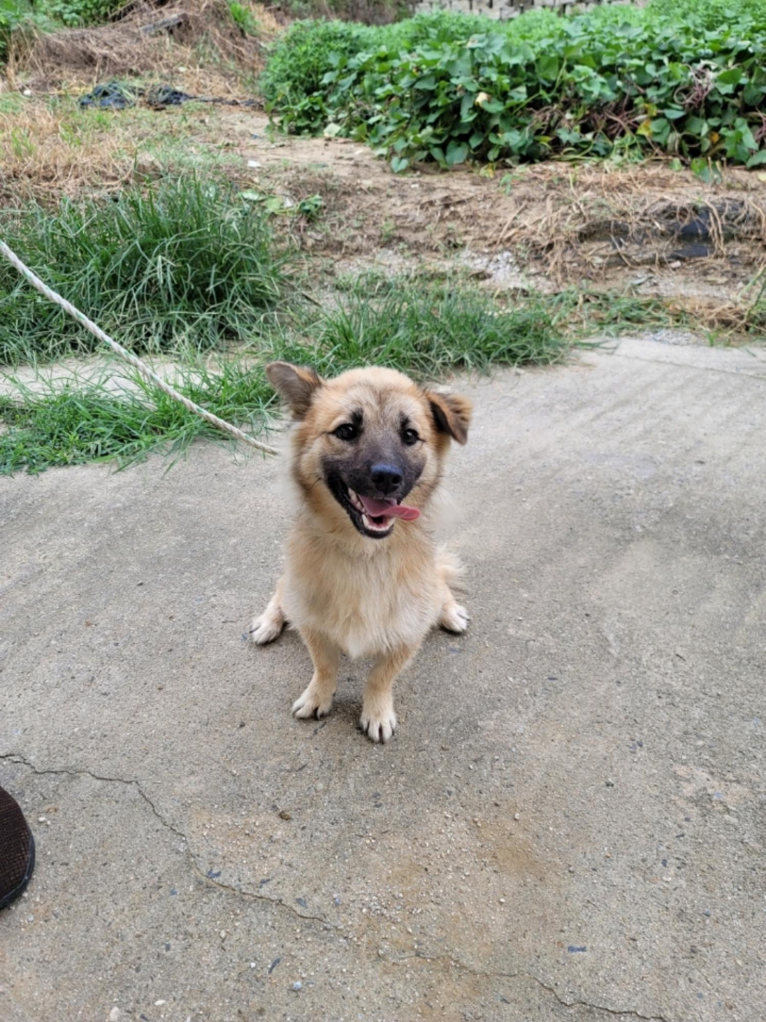 괴산증평동물보호센터_443446202300303