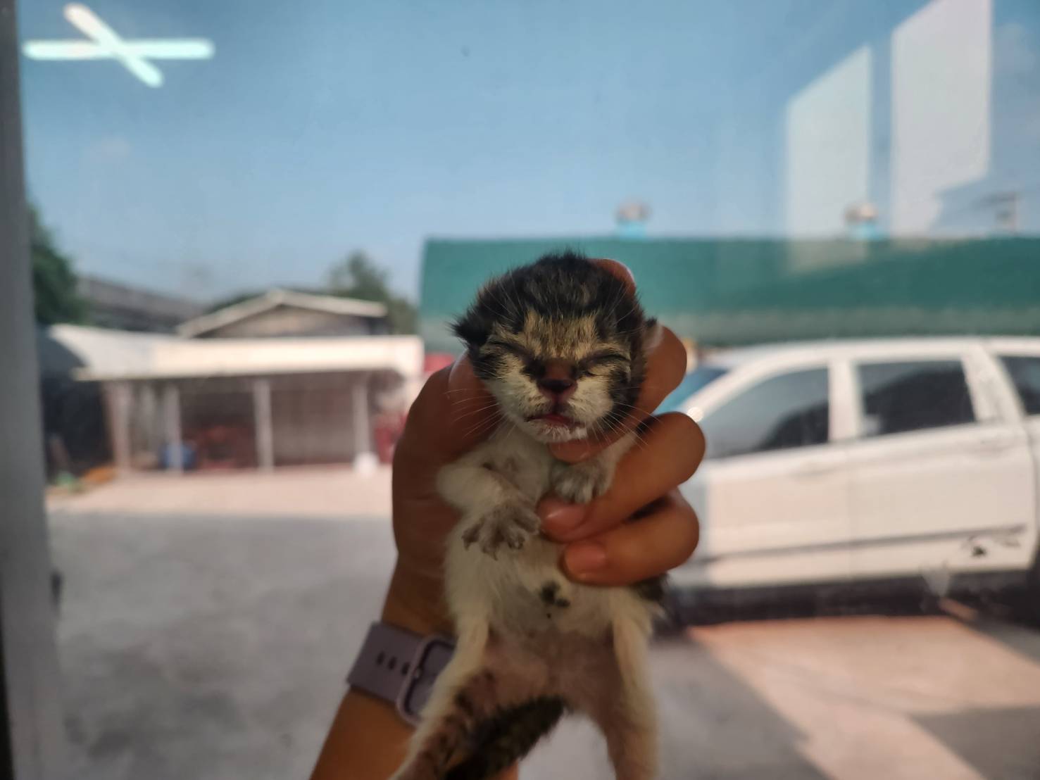 한국야생동물보호협회_441383202300479