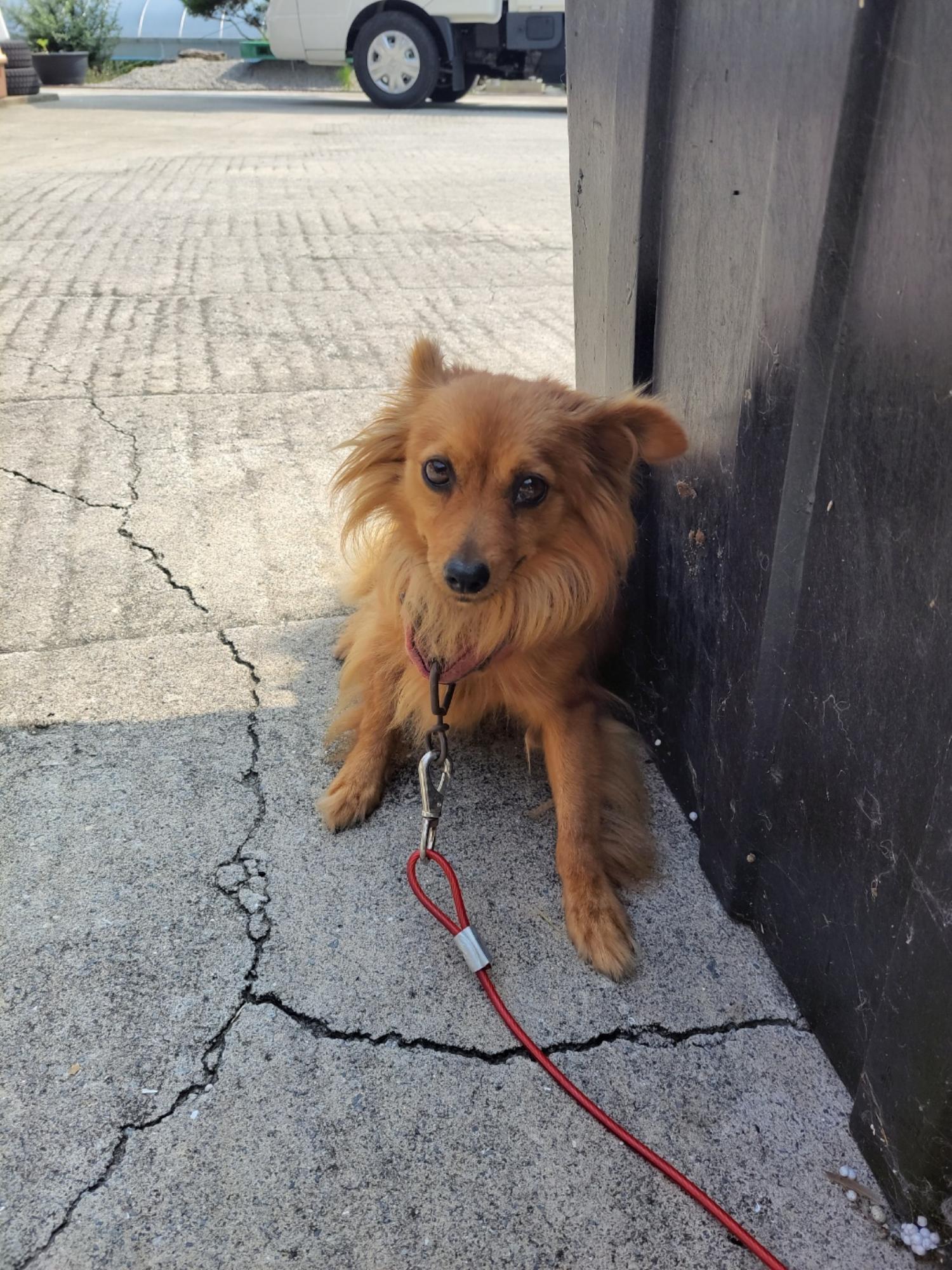 금일동물보호센터_444460202300677