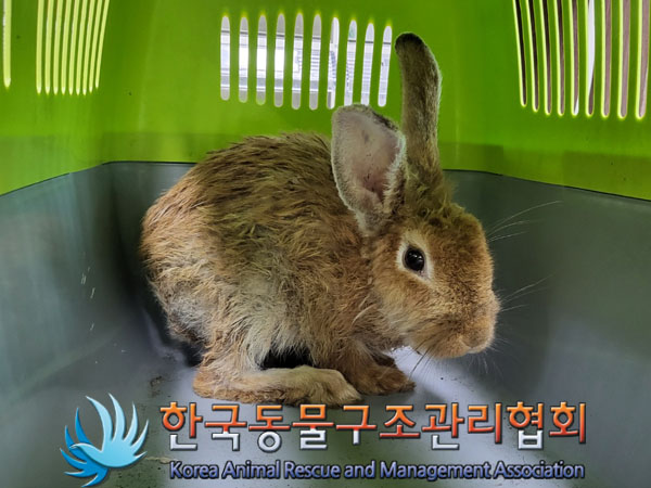 한국동물구조관리협회_411317202300221