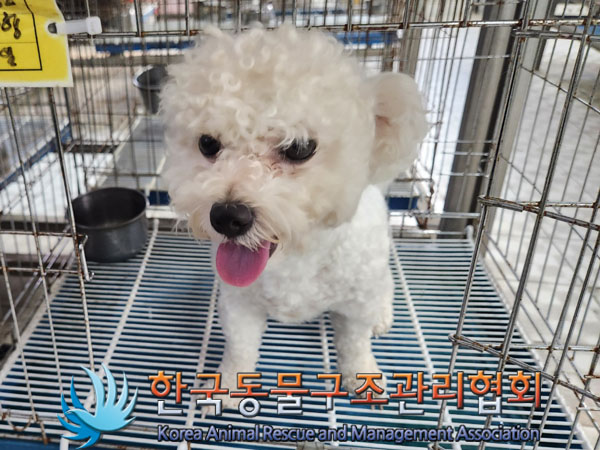 한국동물구조관리협회_411309202300315