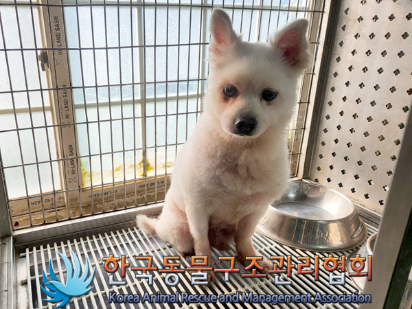 한국동물구조관리협회_411316202300533