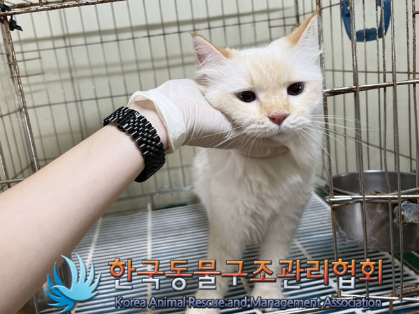 한국동물구조관리협회_411323202300757
