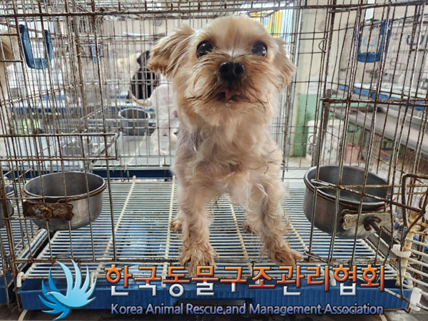 한국동물구조관리협회_411304202300505