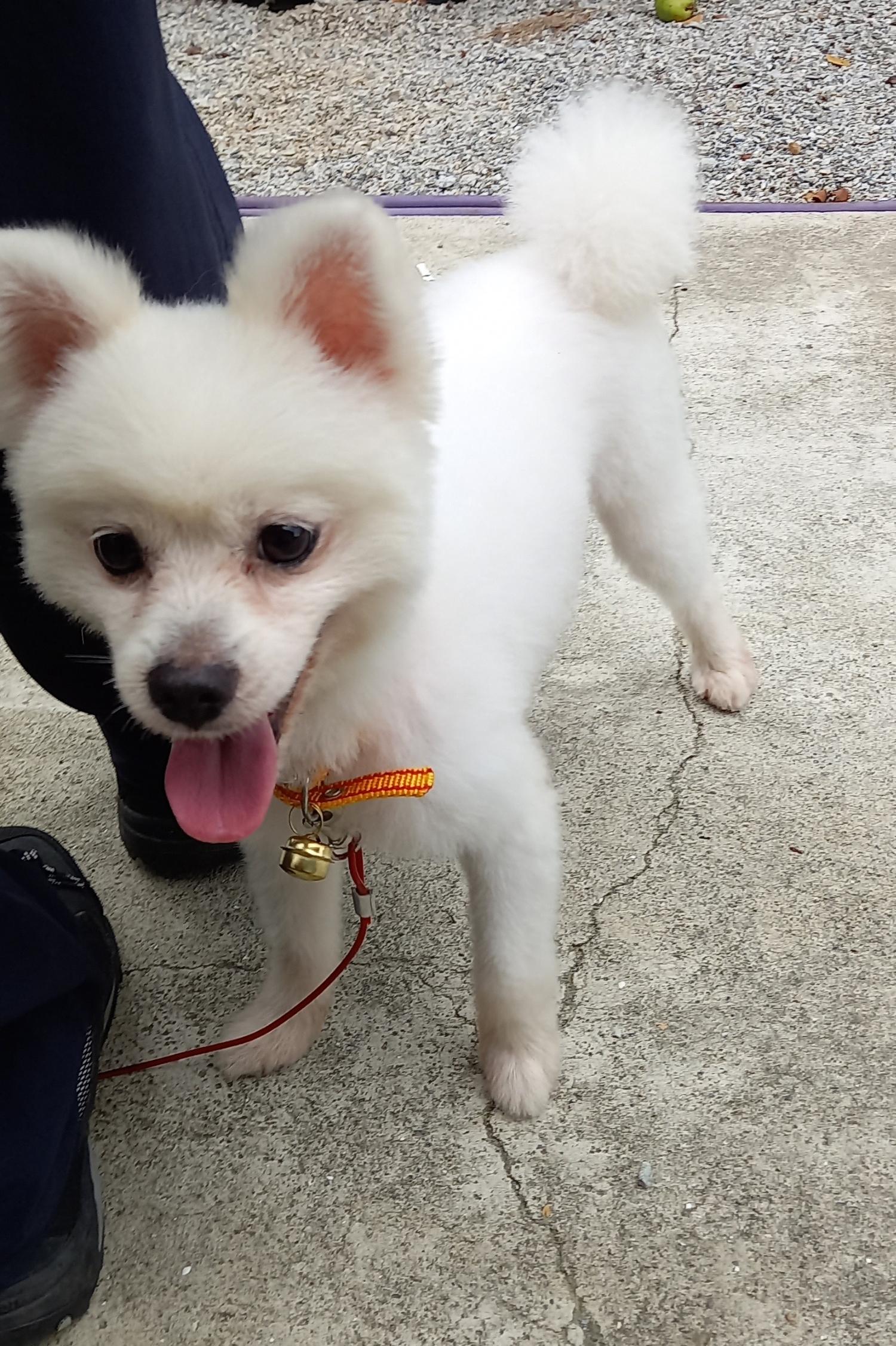 금일동물보호센터_444460202300678
