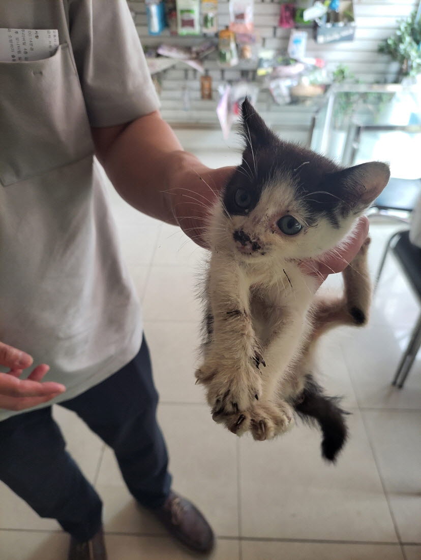 둔촌동물병원_411324202300472