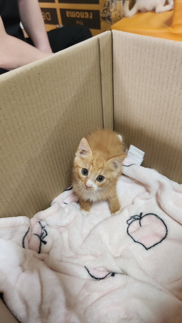 익산유기동물보호소_445468202301620