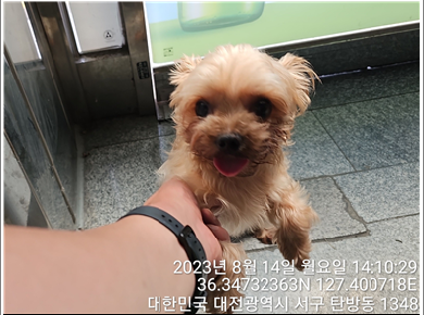 대전동물보호센터_430366202300490