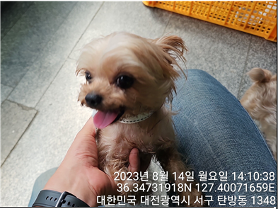 대전동물보호센터_430366202300491