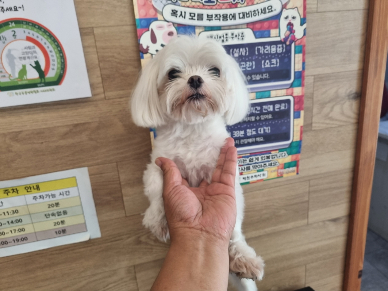 프렌즈동물병원_445464202302730