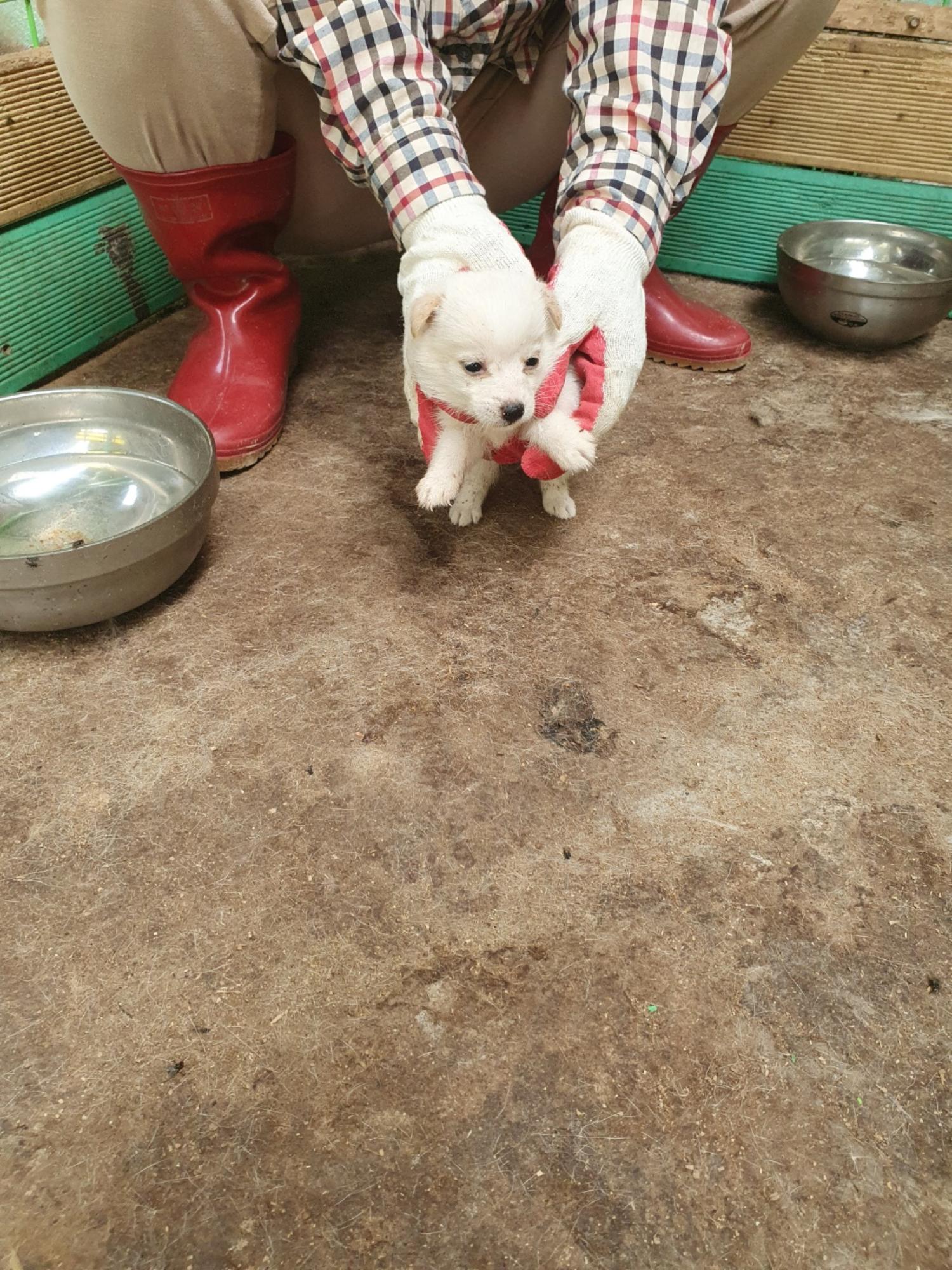학교동물임시보호센터_446496202300430