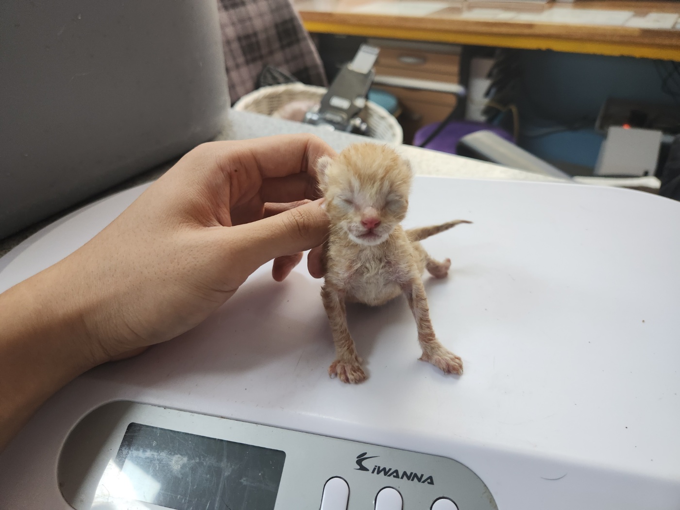 광주 동물보호소_429361202300351