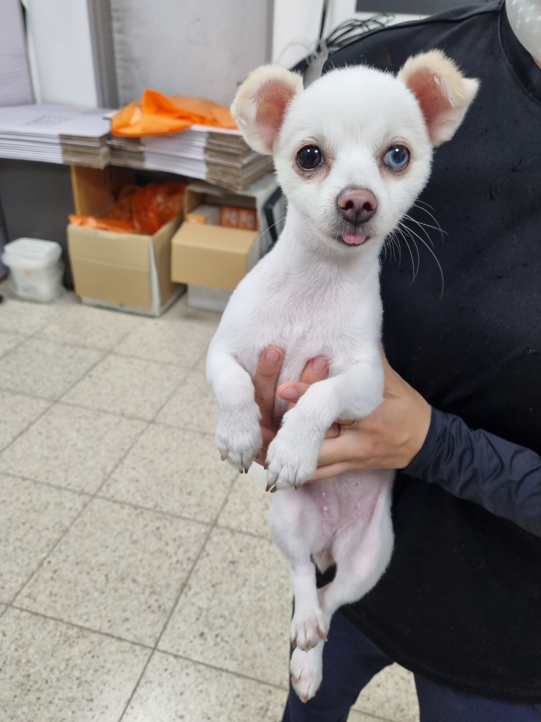 반려동물보호센터_443571202301977