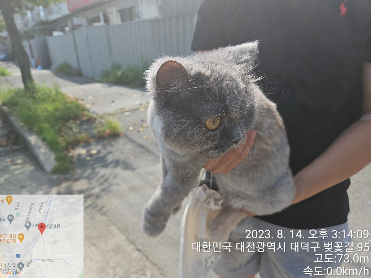 대전동물보호센터_430368202300392