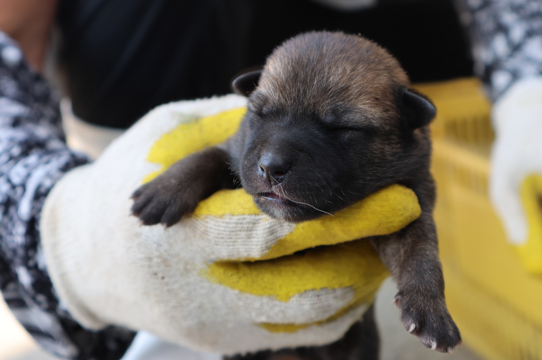 제주 동물보호센터_450650202302848