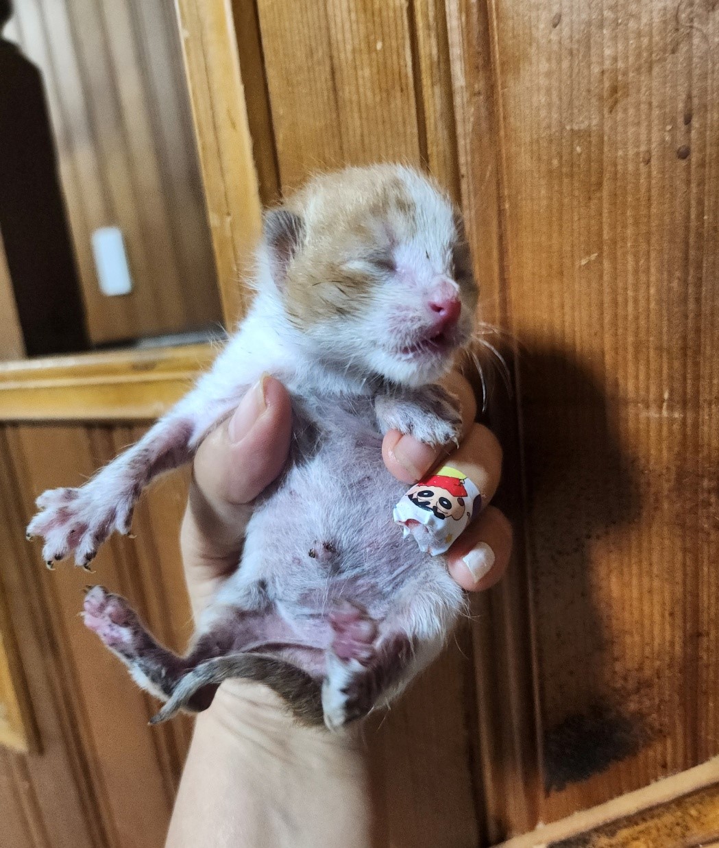 울산유기동물보호센터_431373202300902