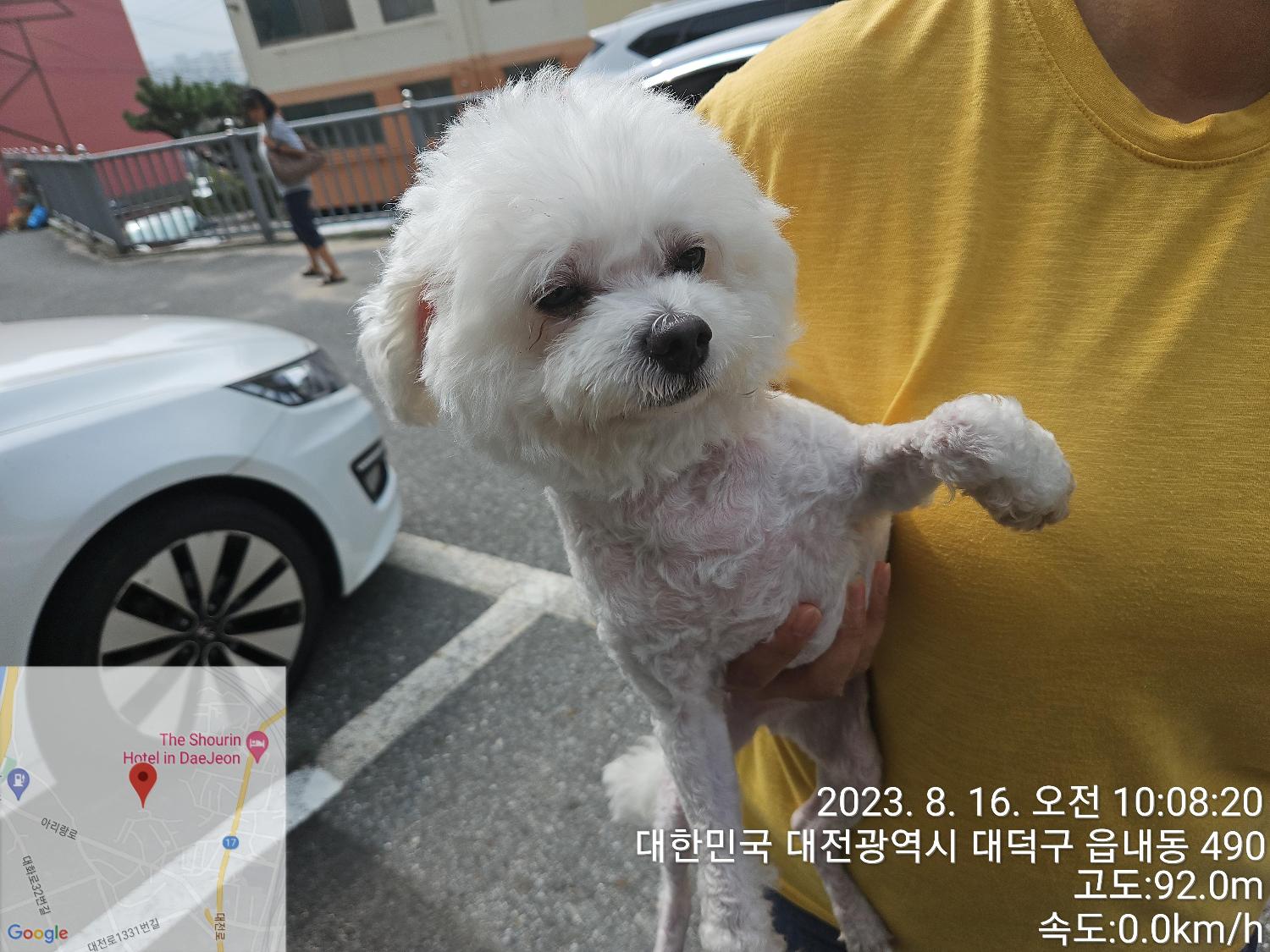 대전동물보호센터_430368202300394