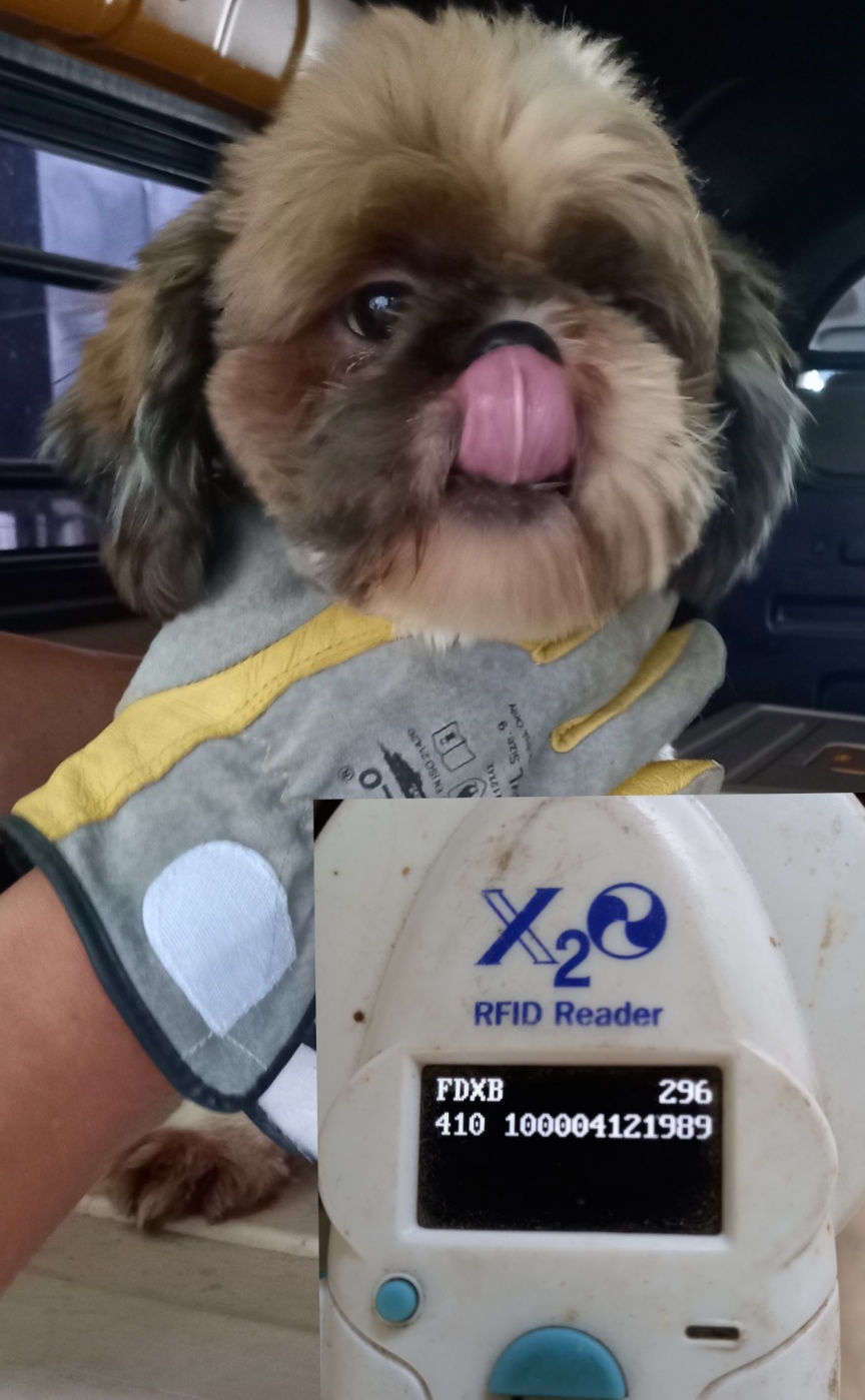 평택시유기동물보호소_441391202301861