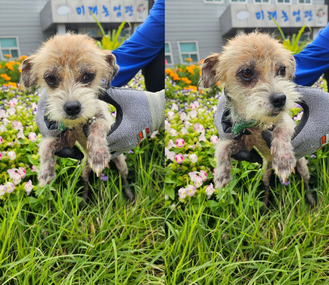 사천시 동물보호센터_448534202300714
