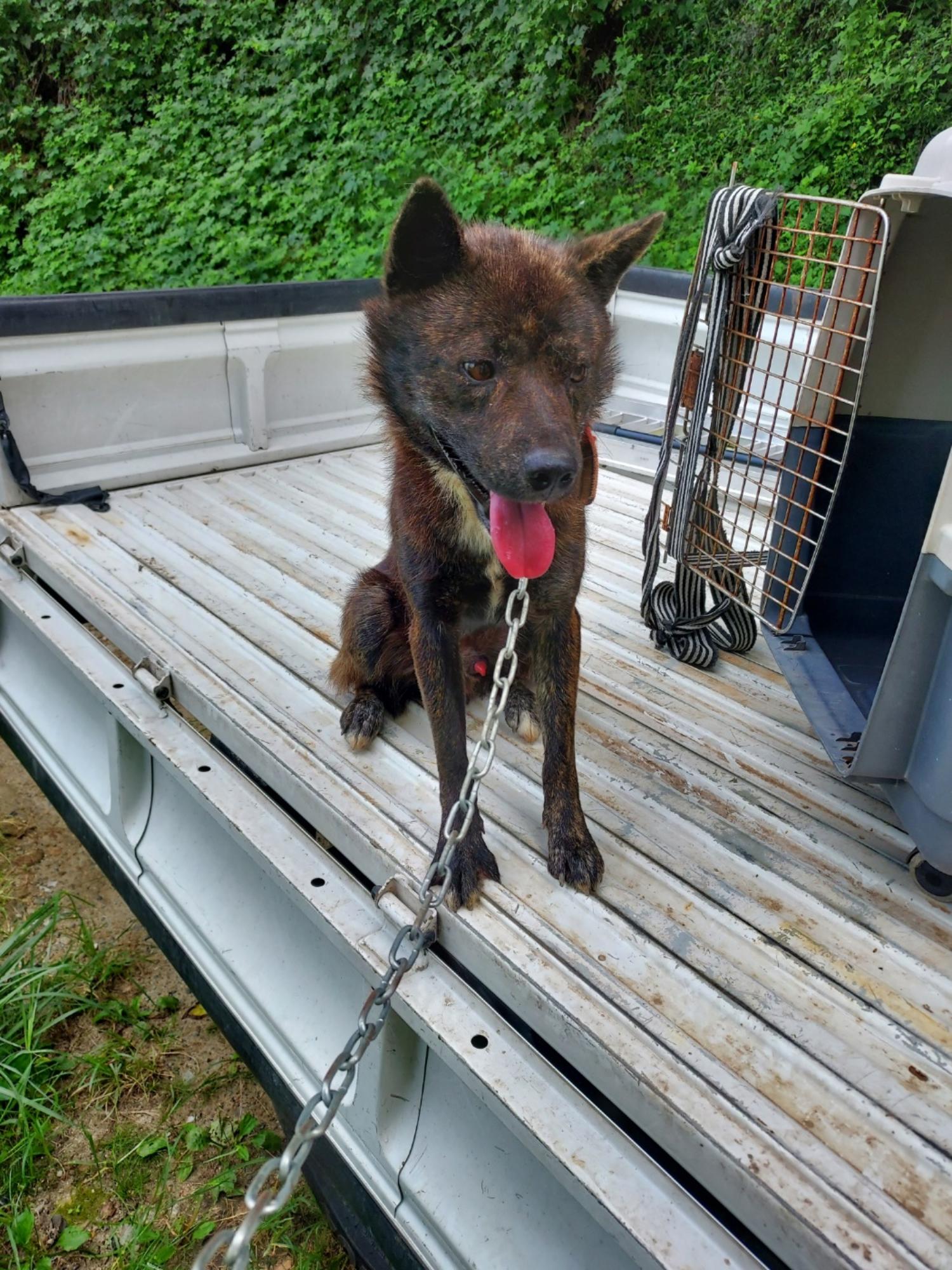 함양군위탁보호소_448546202300316