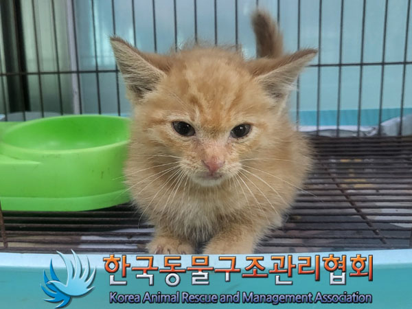 한국동물구조관리협회_441406202301153