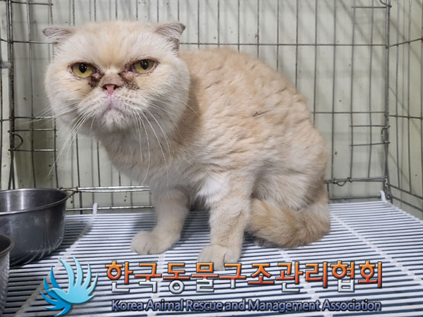 한국동물구조관리협회_441406202301152