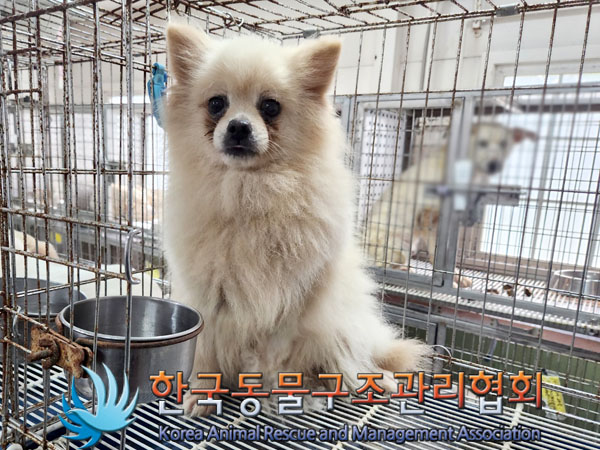 한국동물구조관리협회_441560202300979