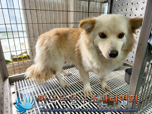 한국동물구조관리협회_441409202301281
