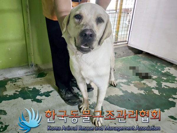 한국동물구조관리협회_441409202301283