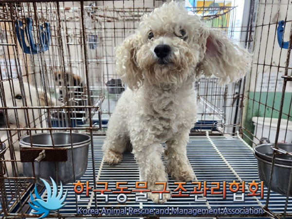 한국동물구조관리협회_441414202300612