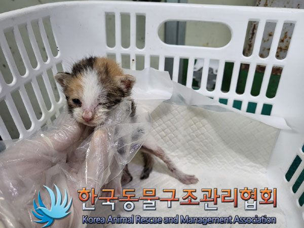 한국동물구조관리협회_411316202300534