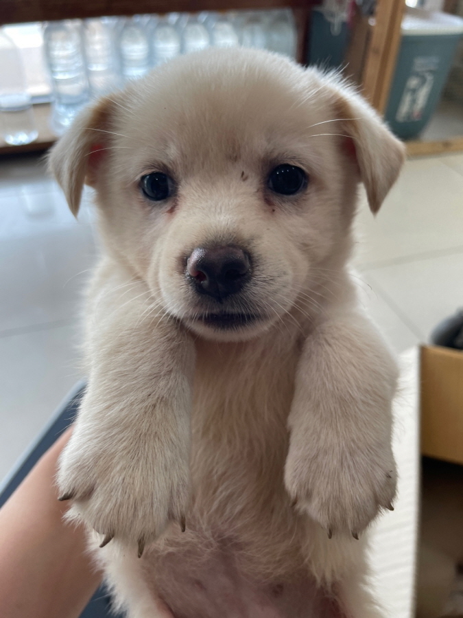 이성준동물병원_441408202301057