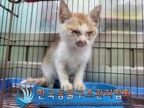 한국동물구조관리협회_441392202300176