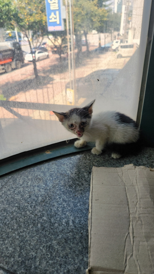 익산유기동물보호소_445468202301633