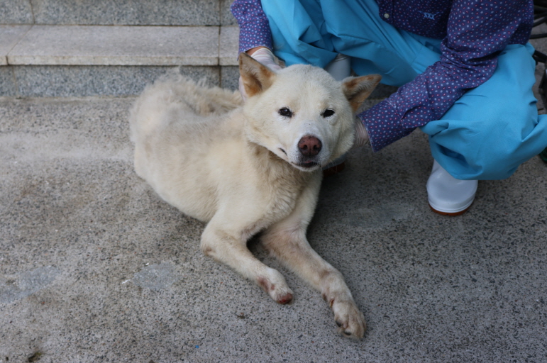 제주 동물보호센터_450650202302858