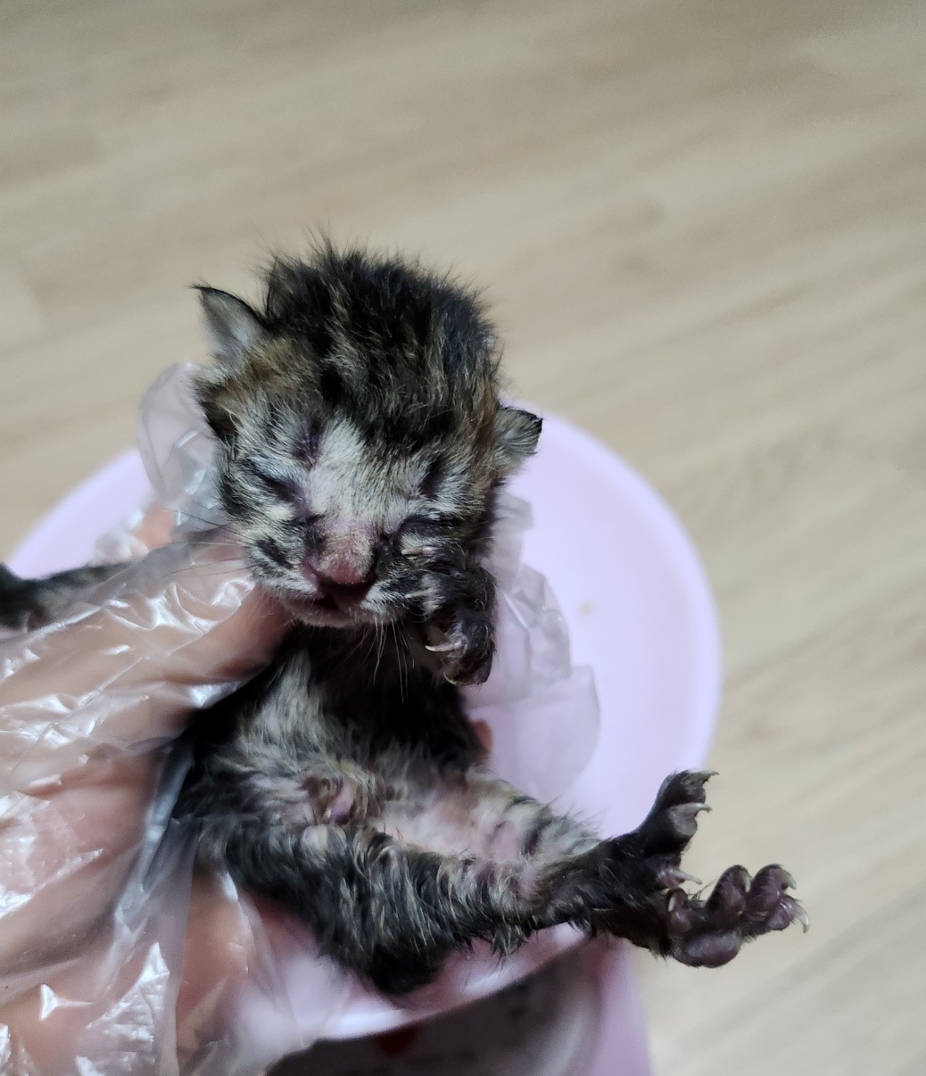 울산유기동물보호센터_431369202300586
