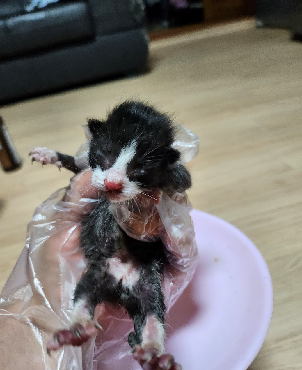 울산유기동물보호센터_431369202300587