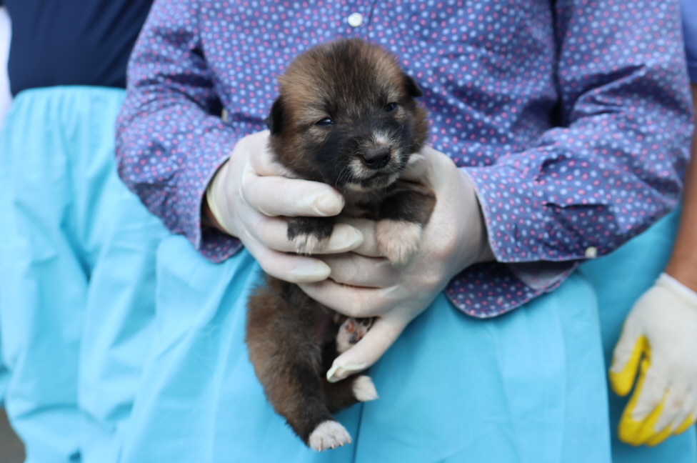 제주 동물보호센터_450650202302867