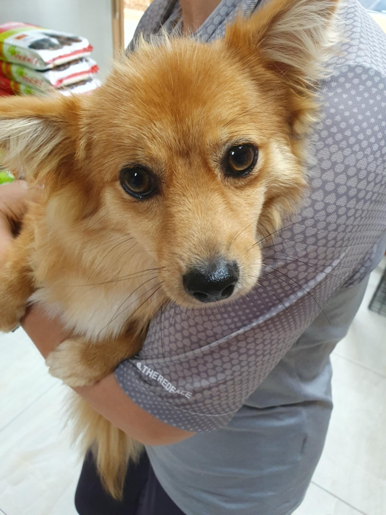 최종주동물병원_443444202300439