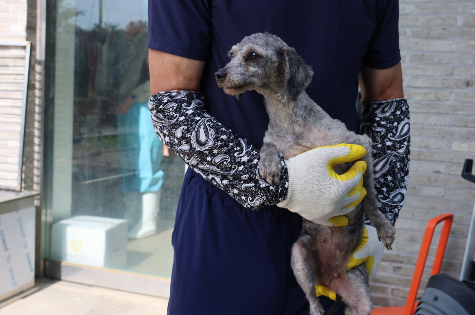 제주 동물보호센터_450650202302868