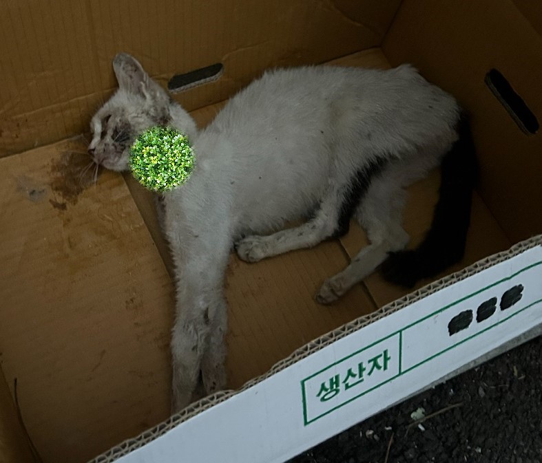 울산유기동물보호센터_431370202300759