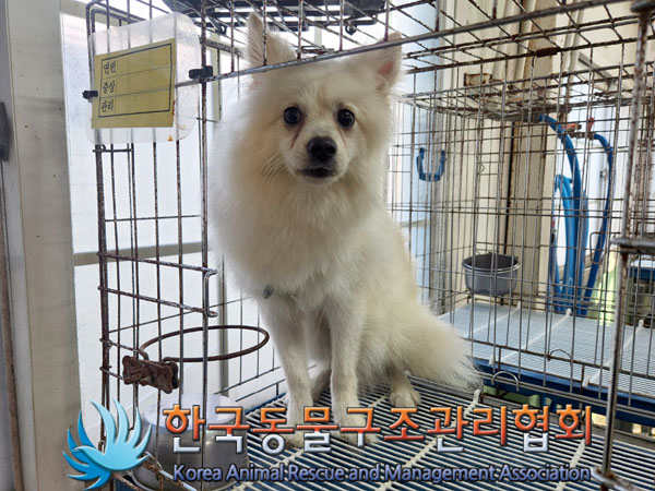한국동물구조관리협회_411303202300388