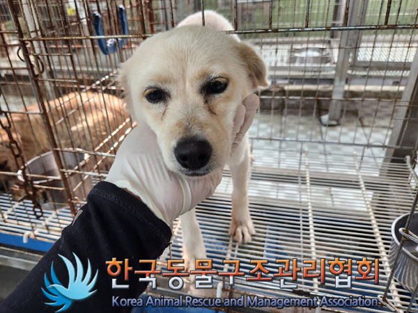 한국동물구조관리협회_441406202301161